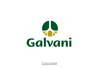 galvani galvani